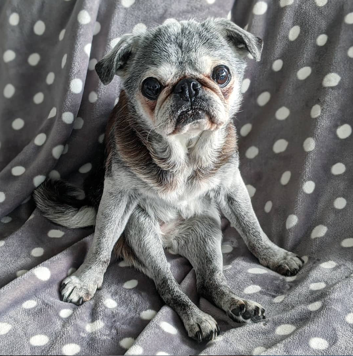 March 29, 2020: Suji Sunday!