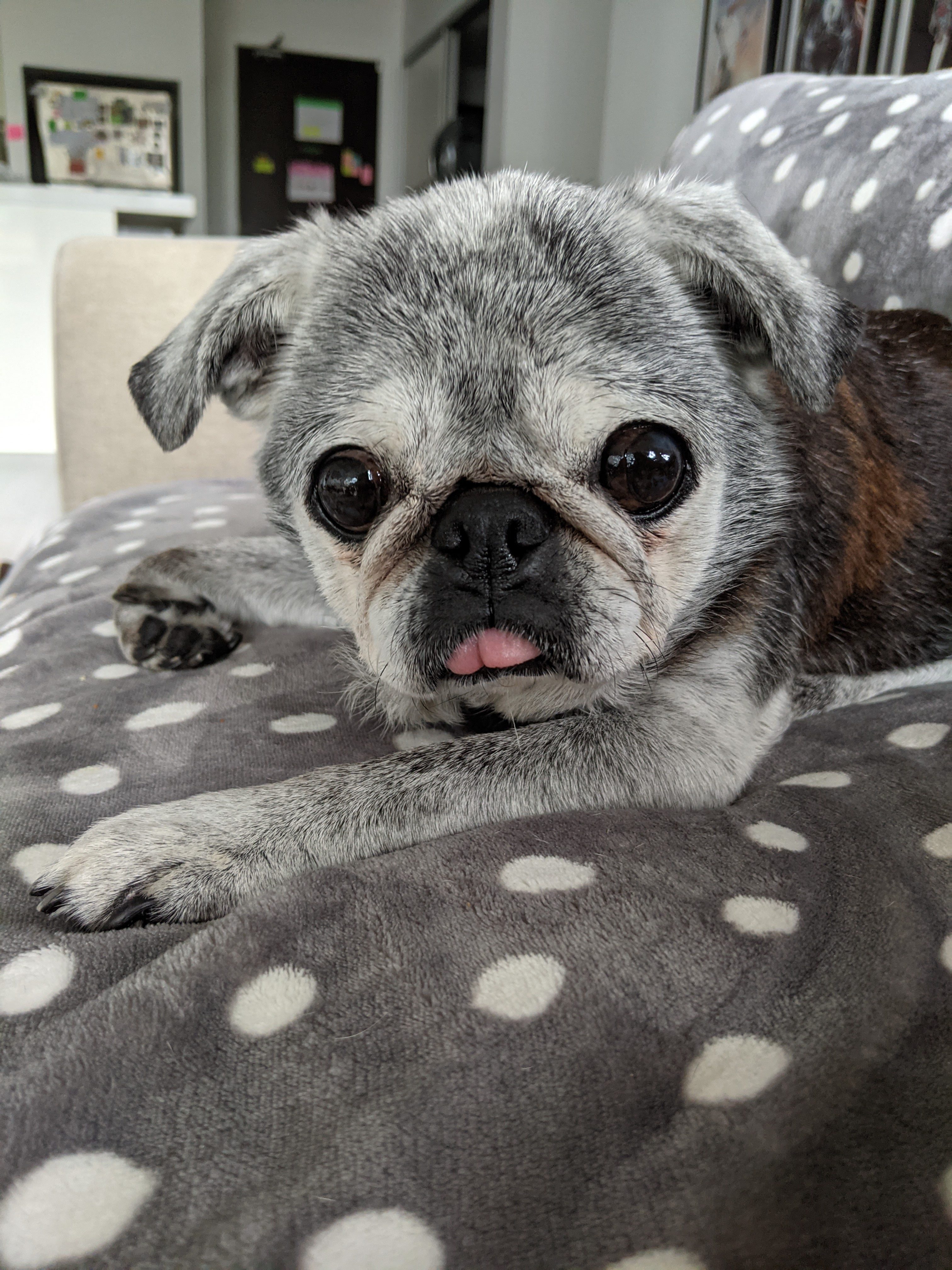 October 31, 2021: Suji Sunday!