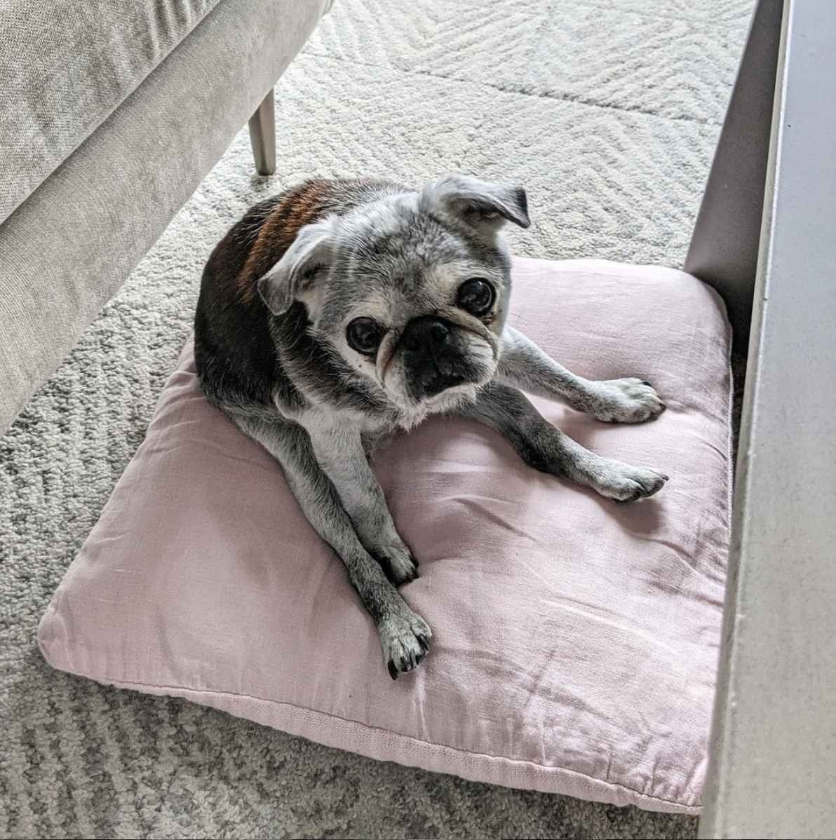 November 14, 2021: Suji Sunday!
