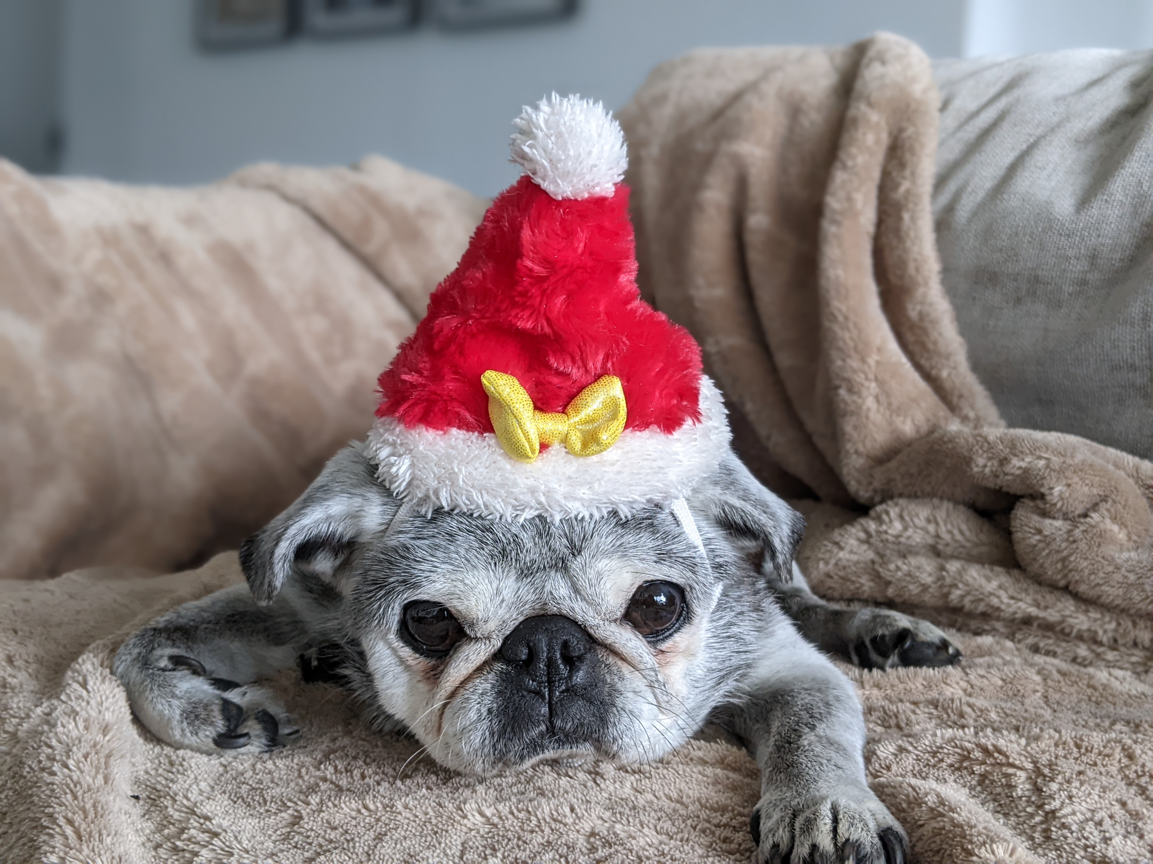 December 26, 2021: Suji Sunday!