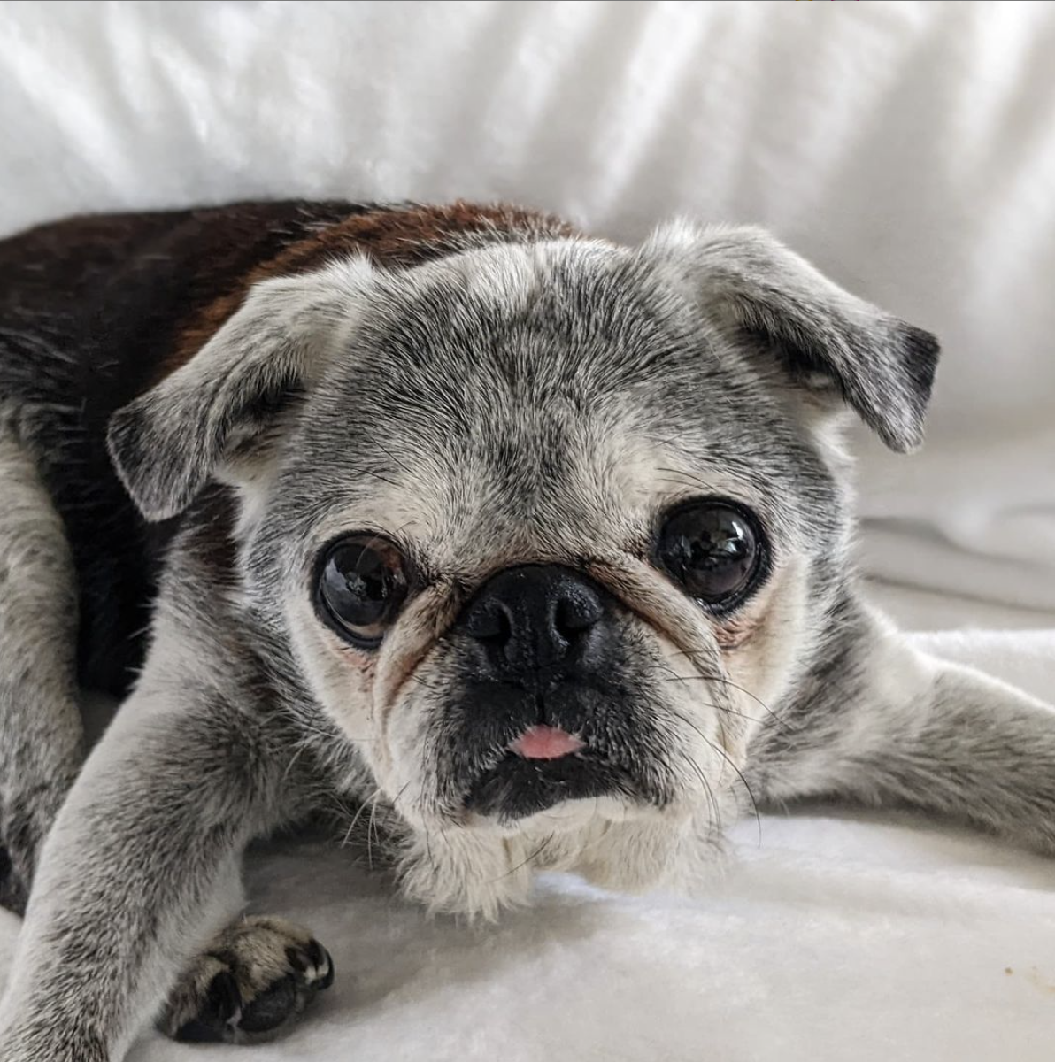 December 5, 2021: Suji Sunday!