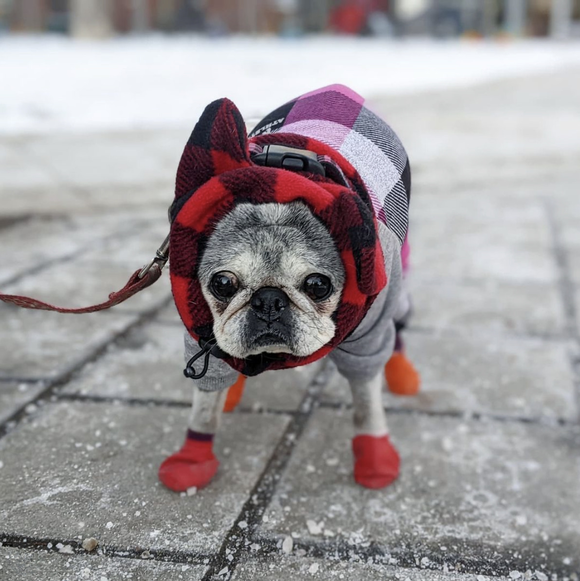 January 9, 2022: Suji Sunday!
