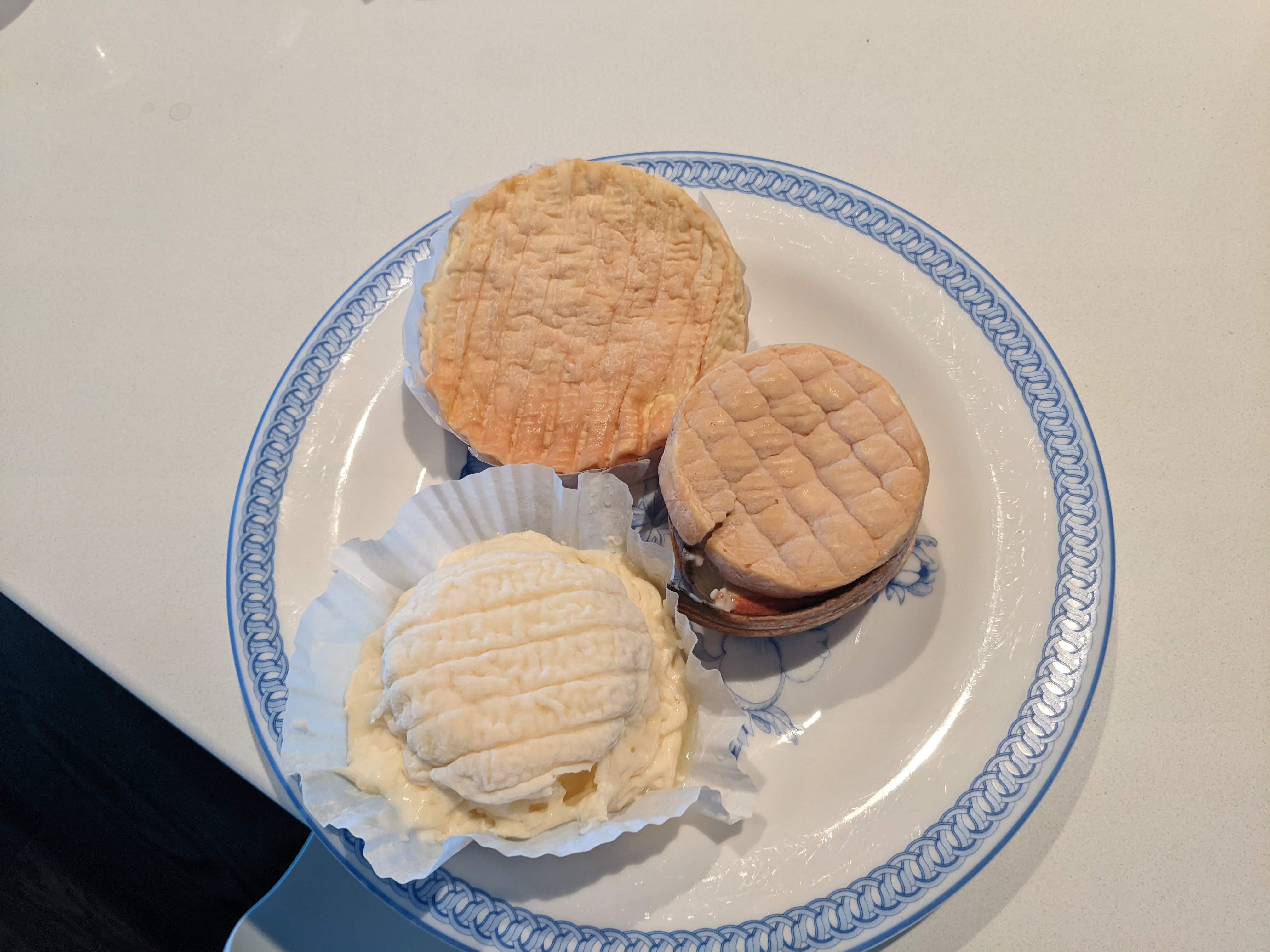 February 26, 2022: Stargate, cheese, and whisky lemonade!