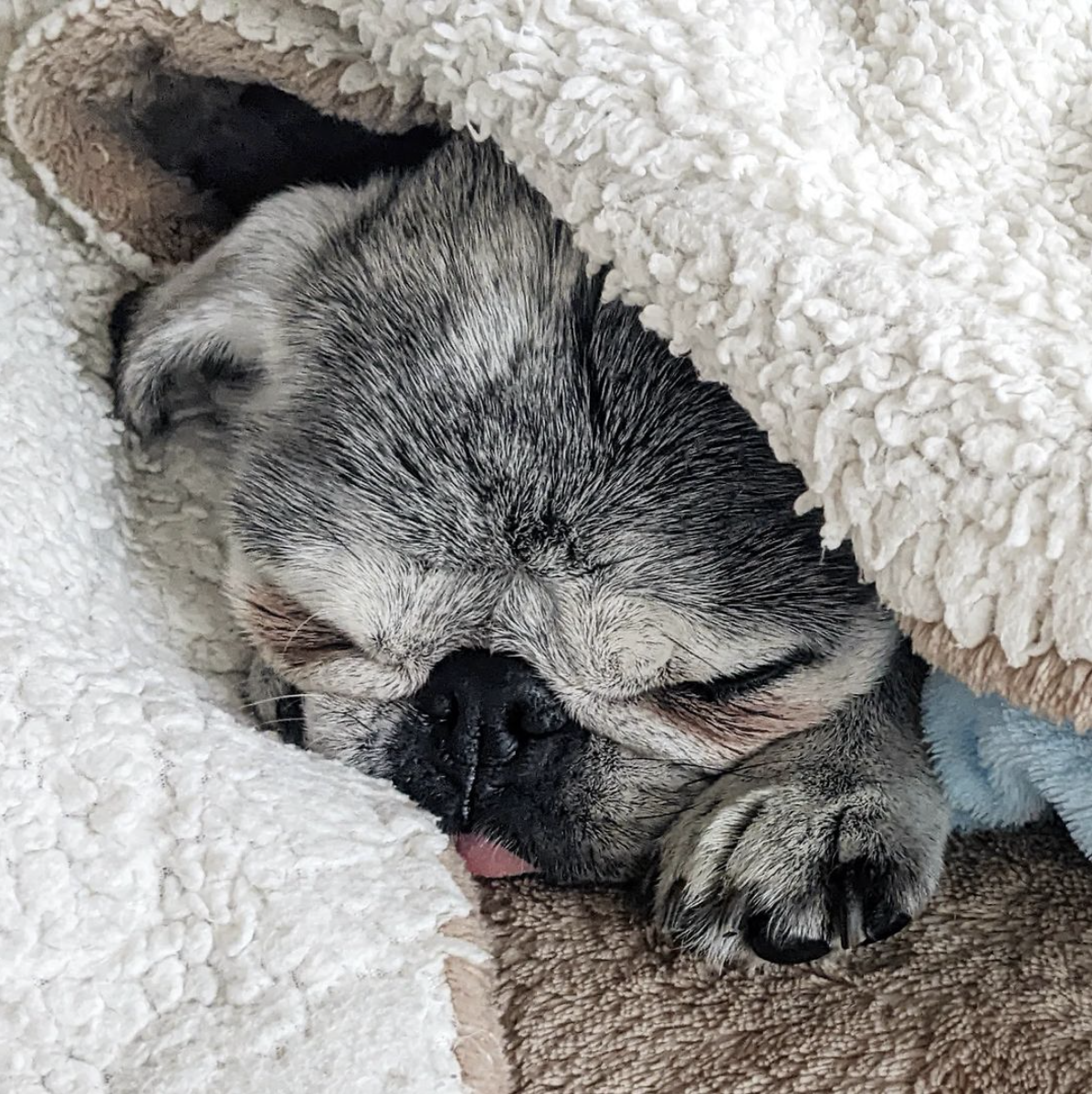 February 6, 2022: Suji Sunday!