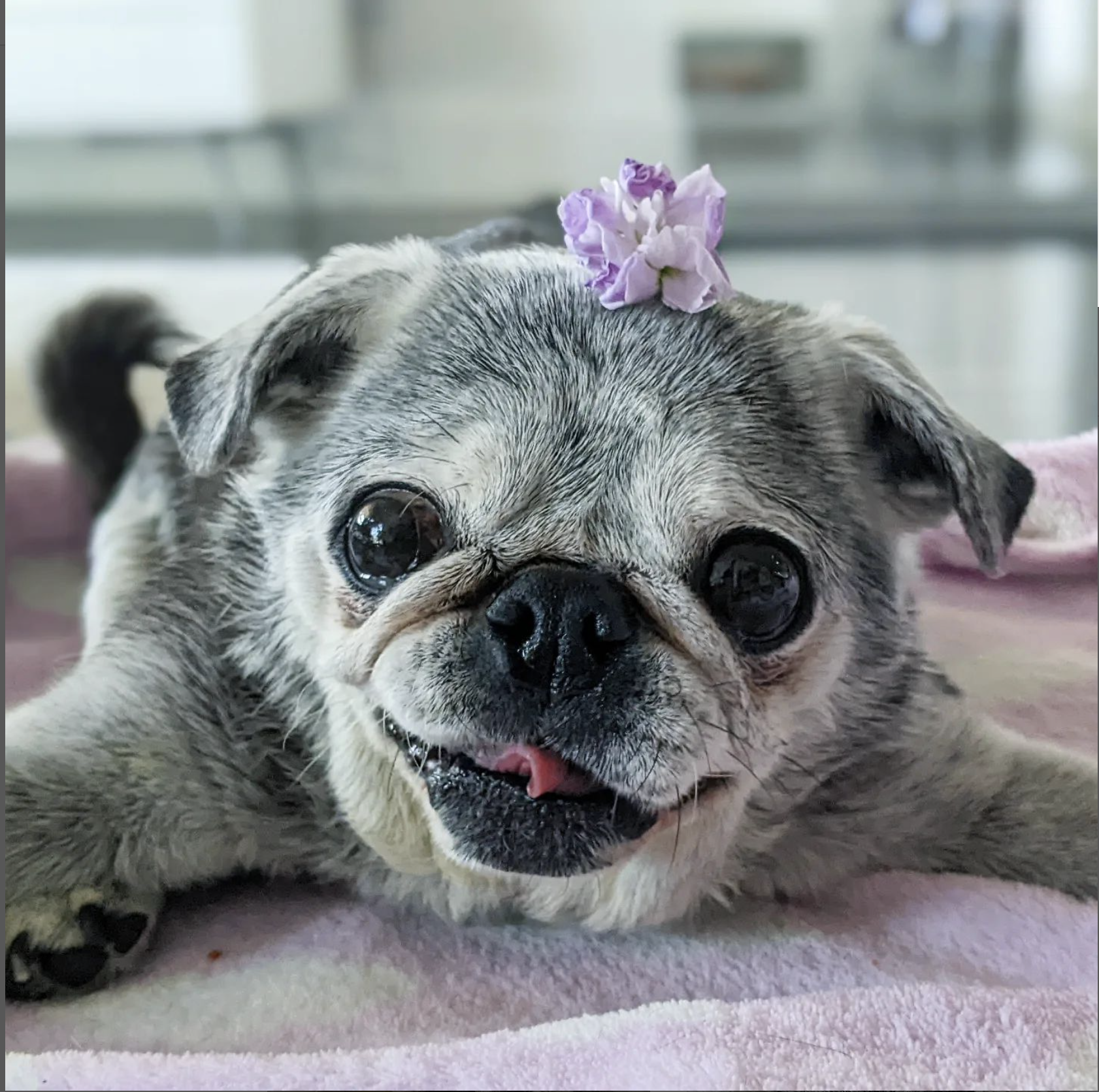 February 13, 2022: Suji Sunday!