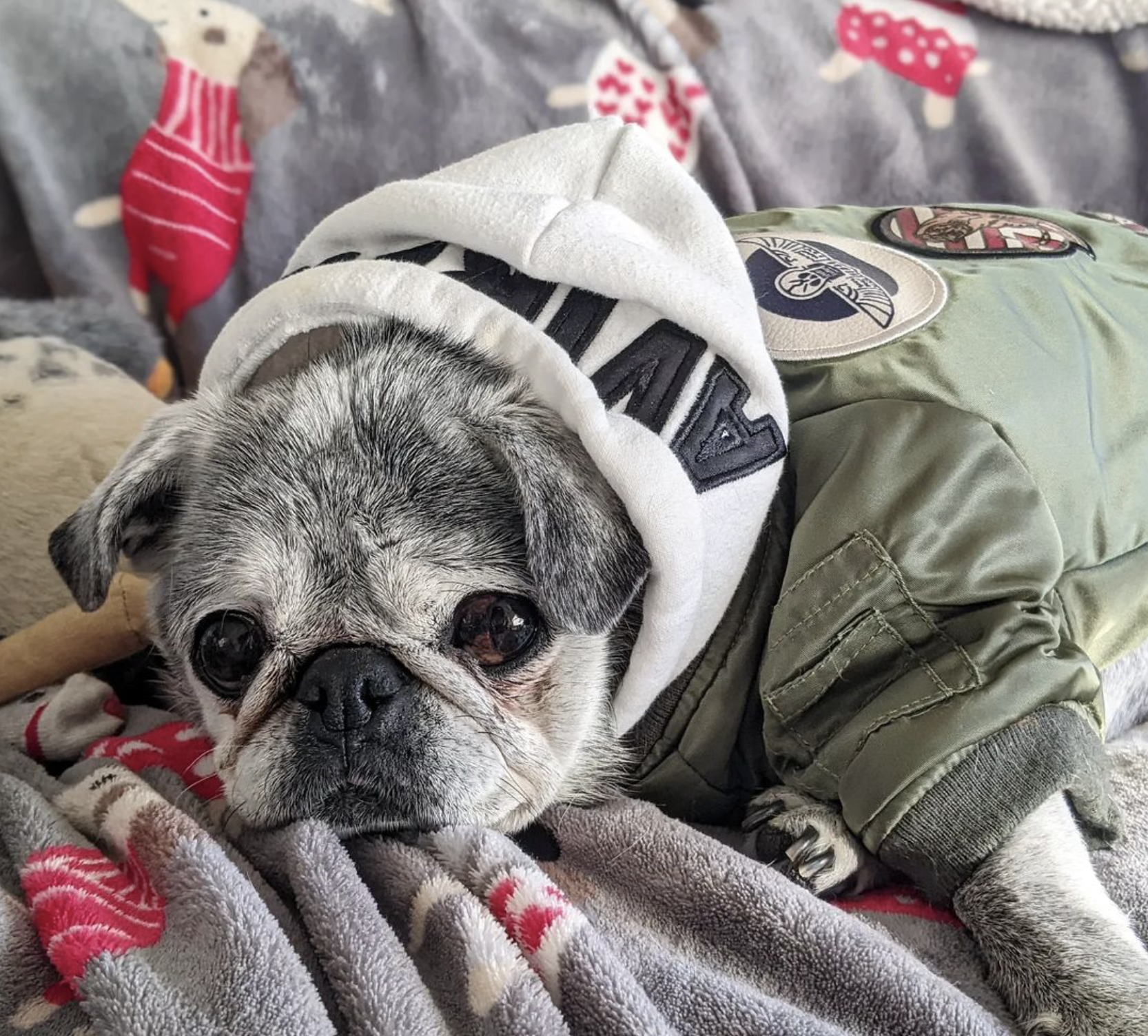 March 6, 2022: Suji Sunday!