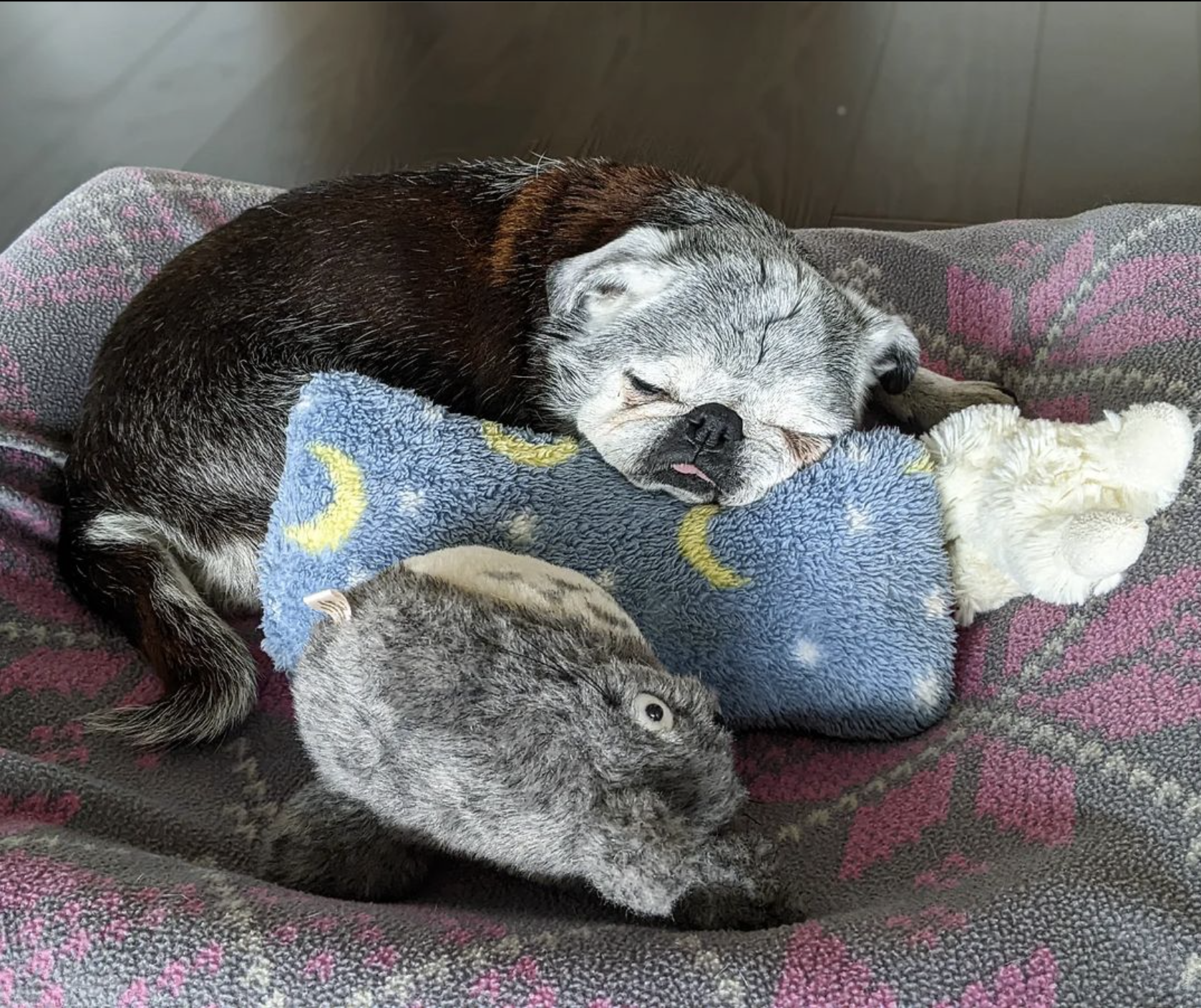March 27, 2022: Suji Sunday!