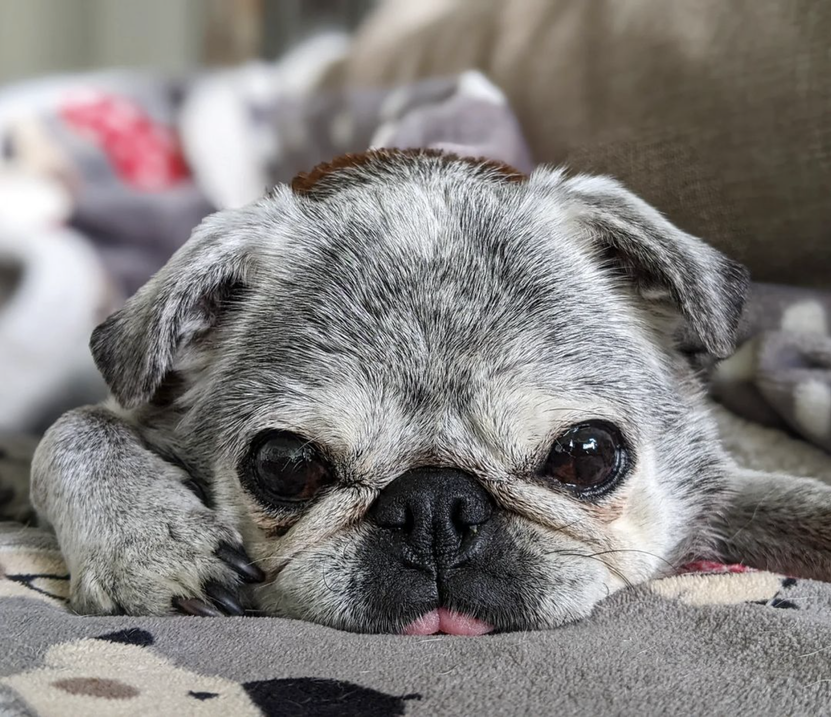 May 22, 2022: Suji Sunday!