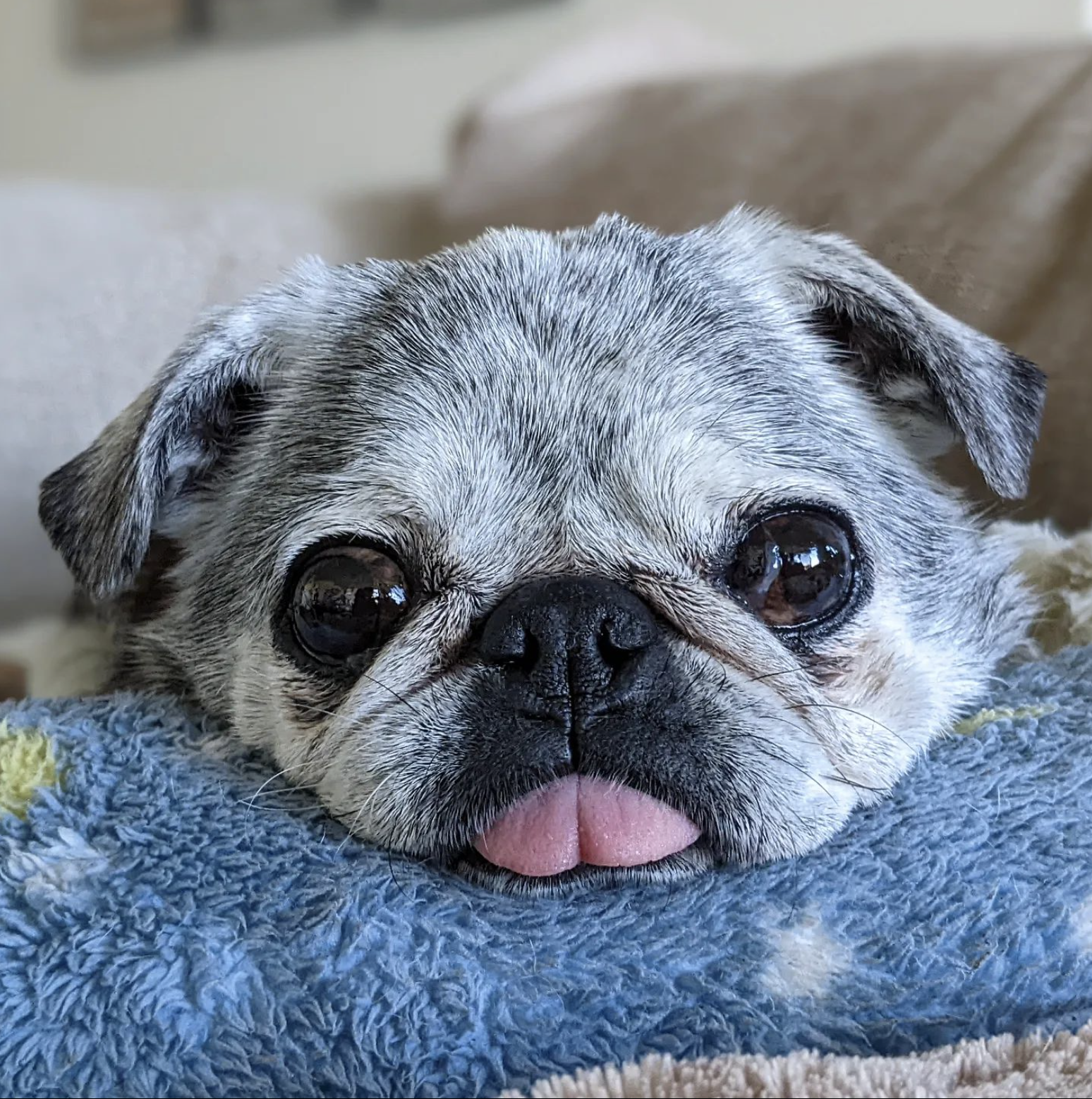 July 3, 2022: Suji Sunday!