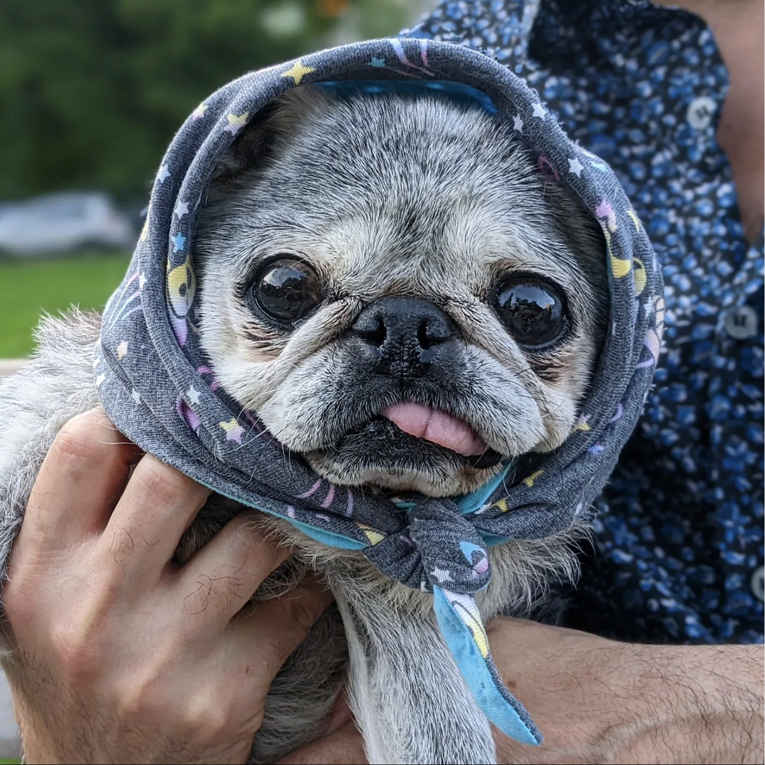 July 17, 2022: Suji Sunday!