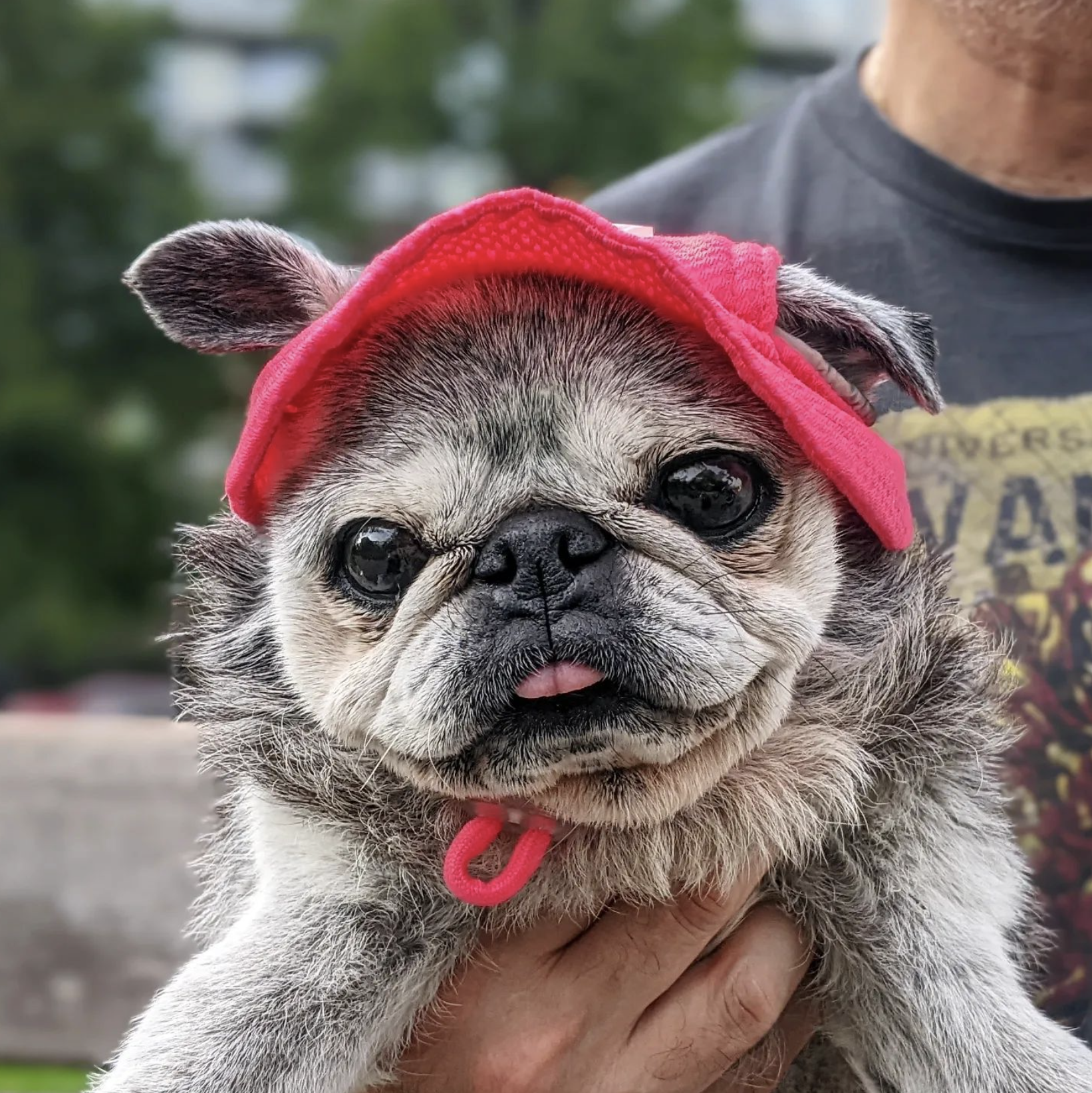 August 14, 2022: Suji Sunday!