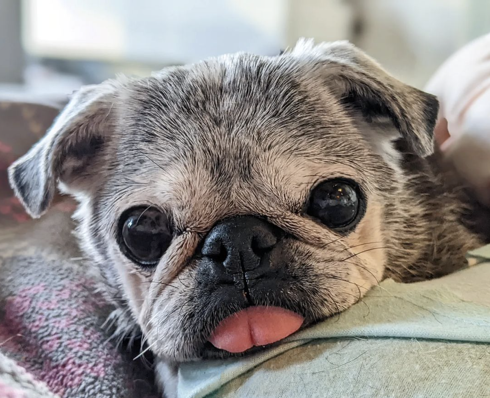 October 9, 2022: Suji Sunday!