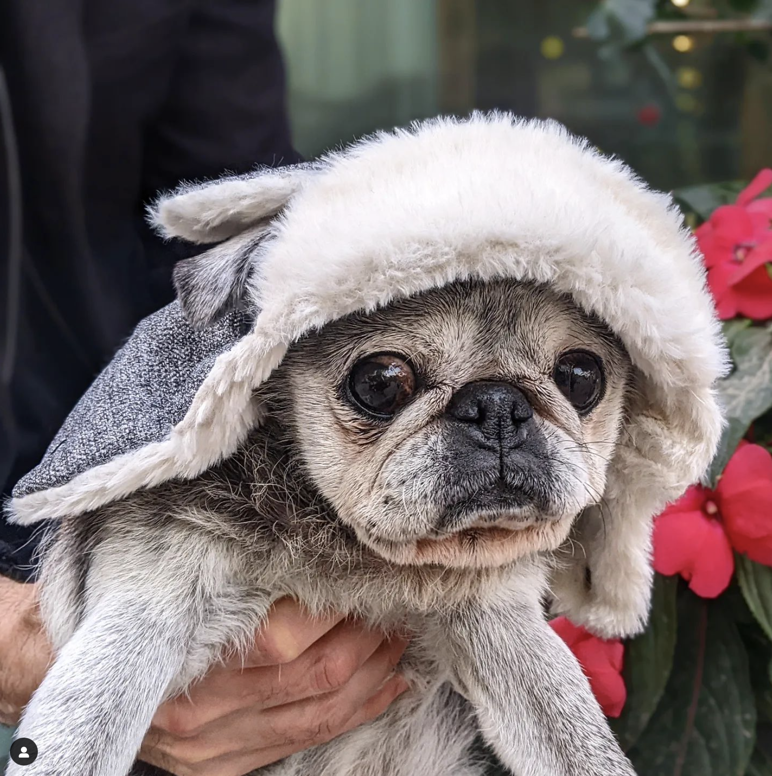 October 30, 2022: Spooky Suji Sunday!