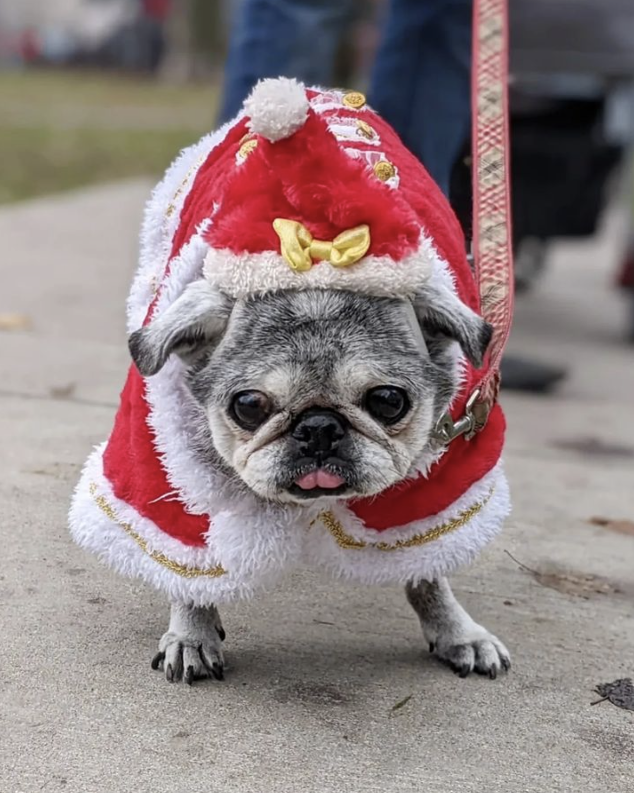 November 20, 2022: Suji Sunday!