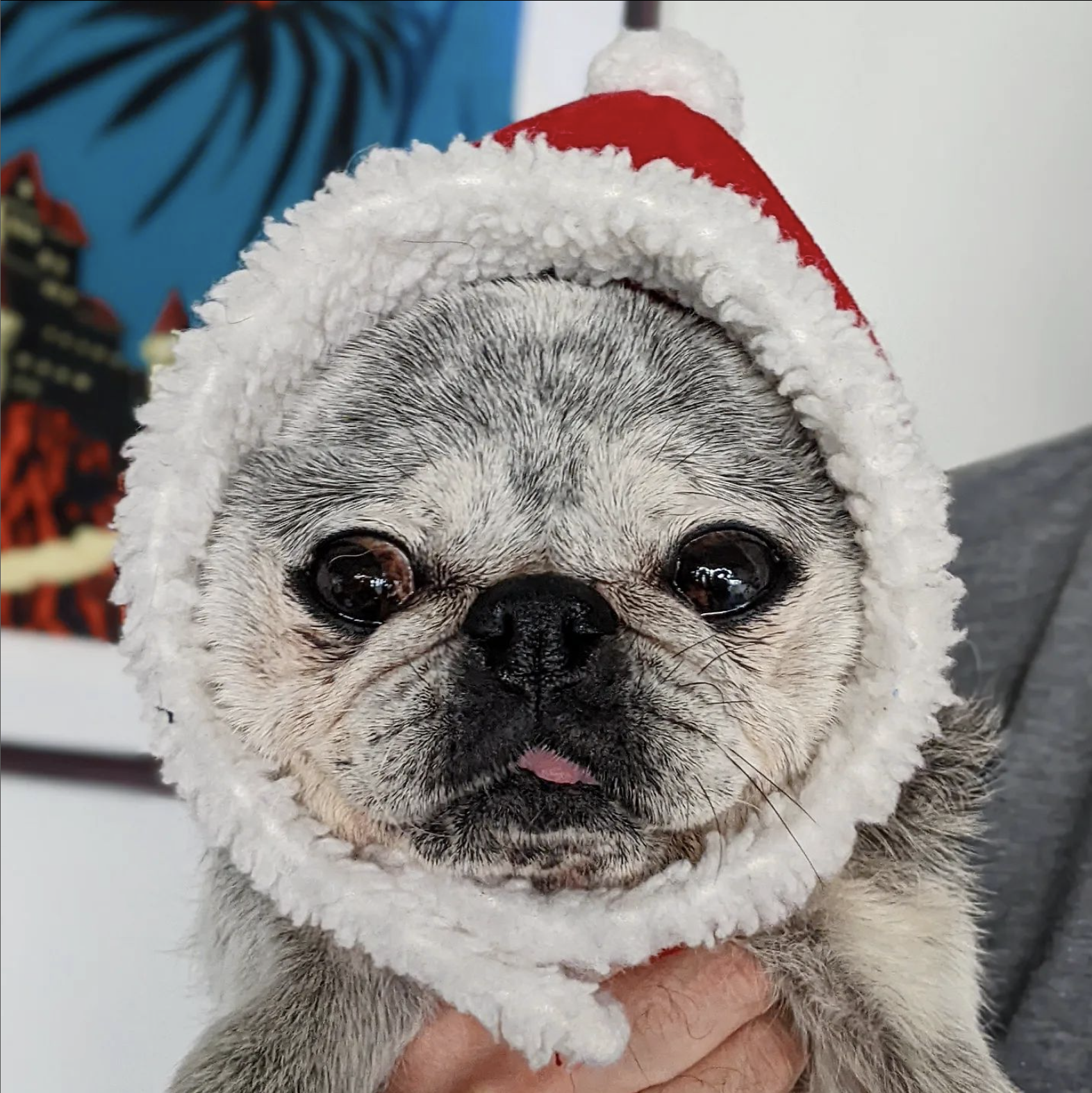 November 27, 2022: Suji Sunday!