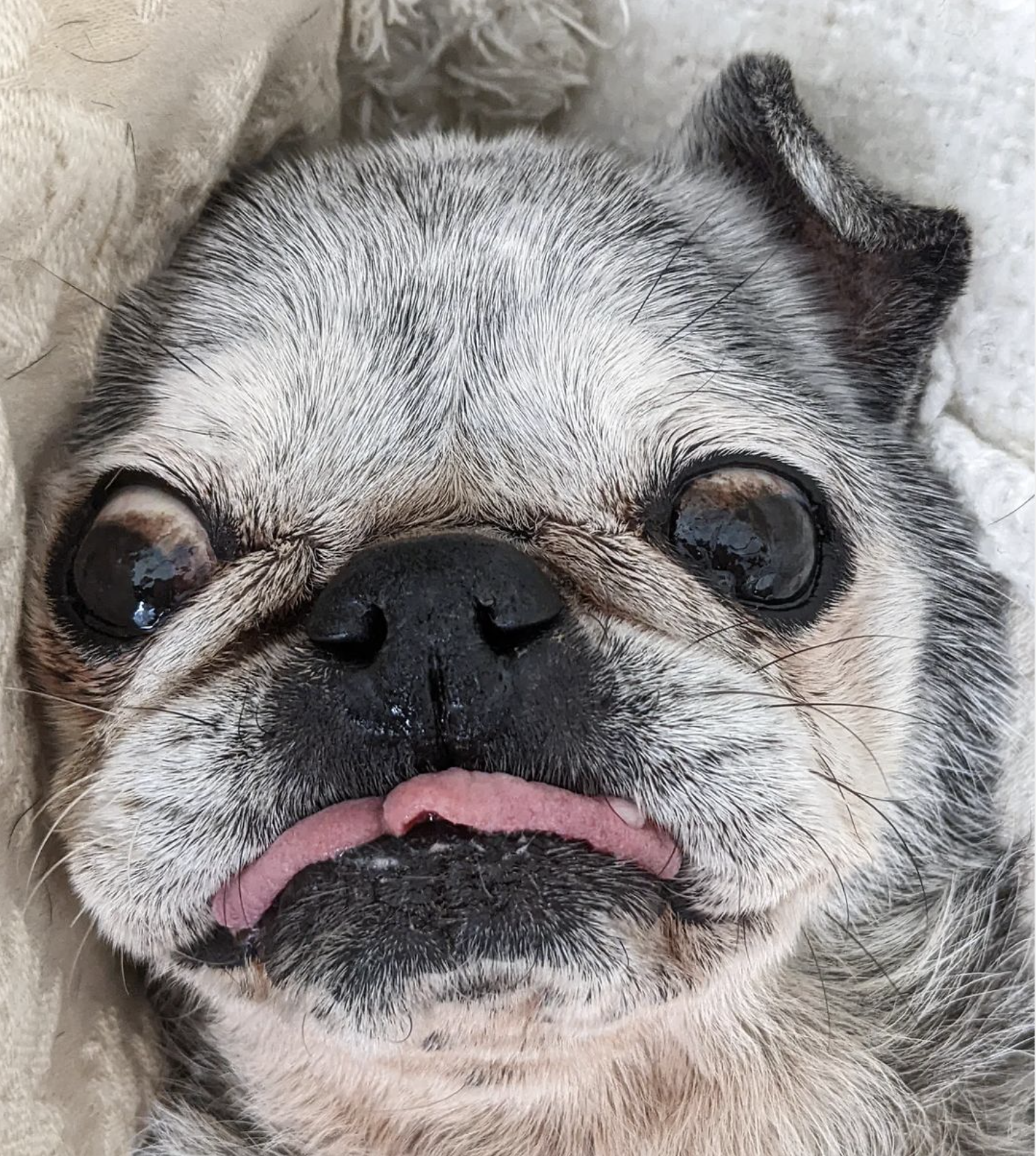 December 25, 2022: Suji Sunday!