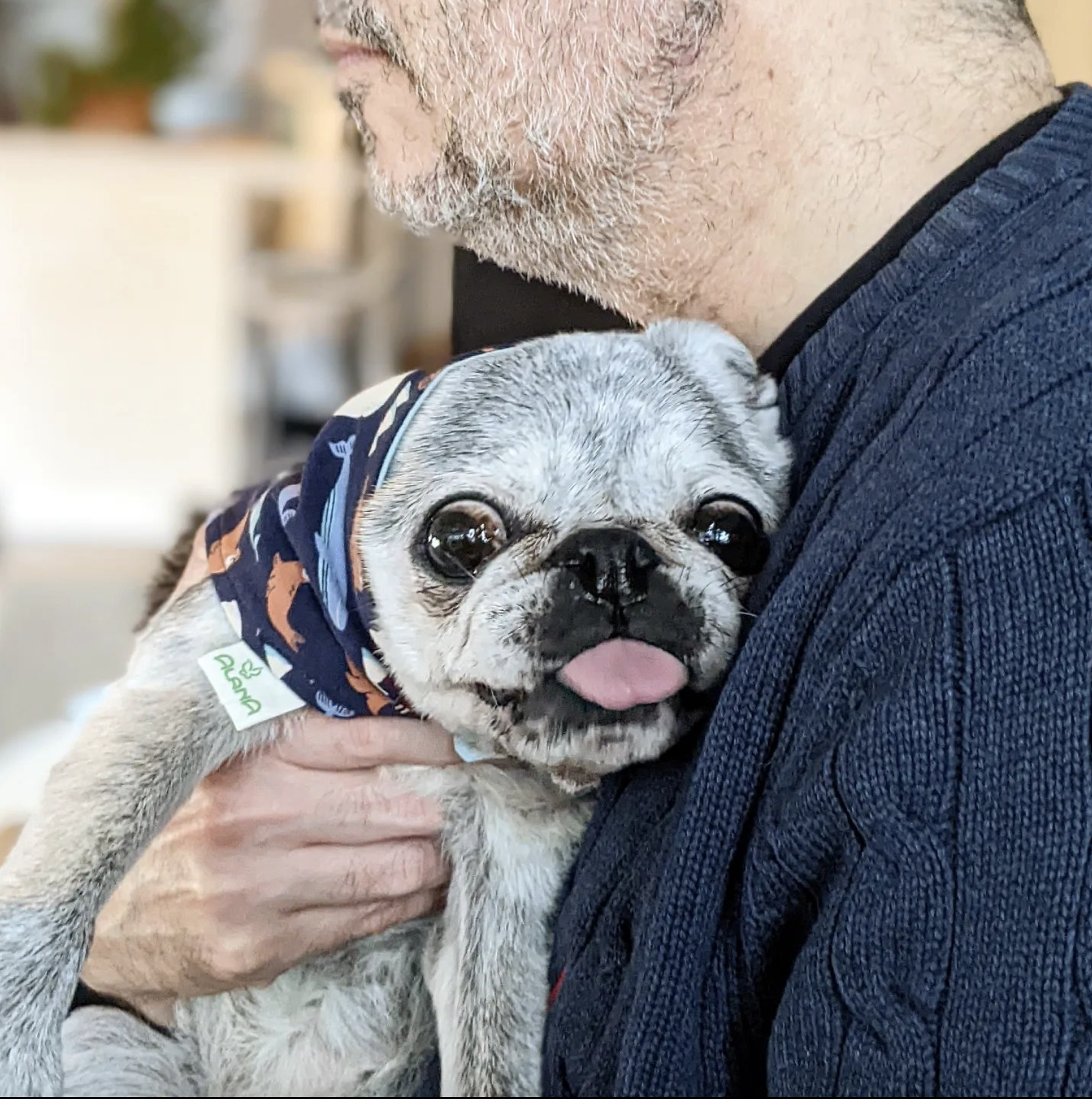 January 8, 2022: Suji Sunday!