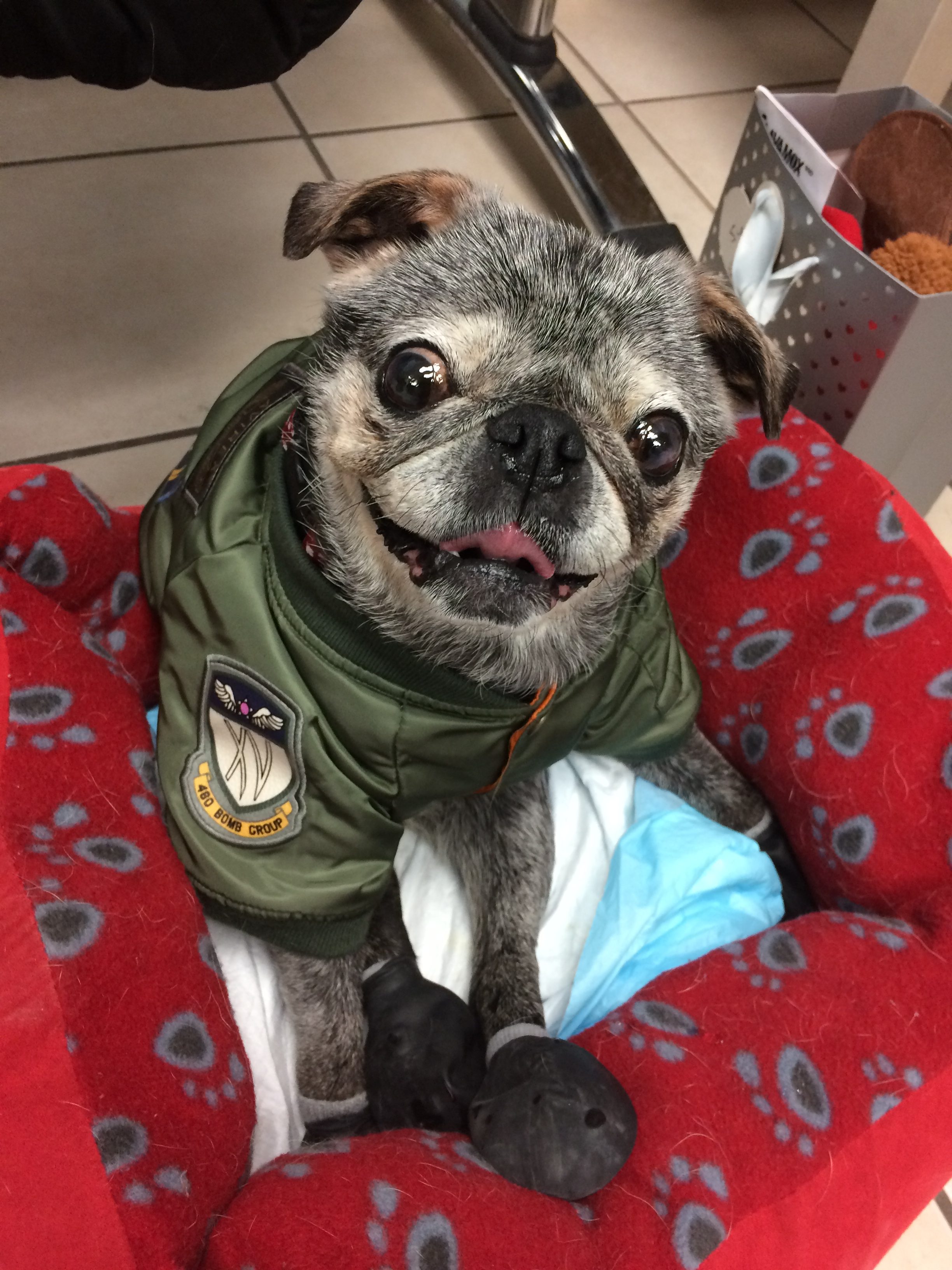 February 19, 2023: Suji Sunday!