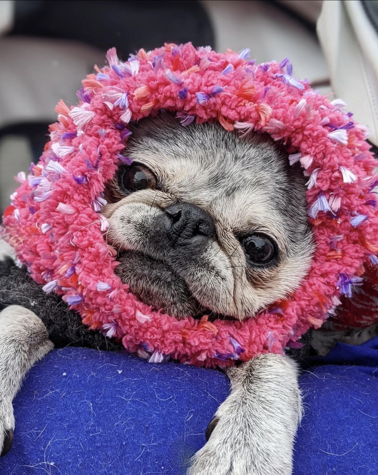 March 19, 2023: Suji Sunday!