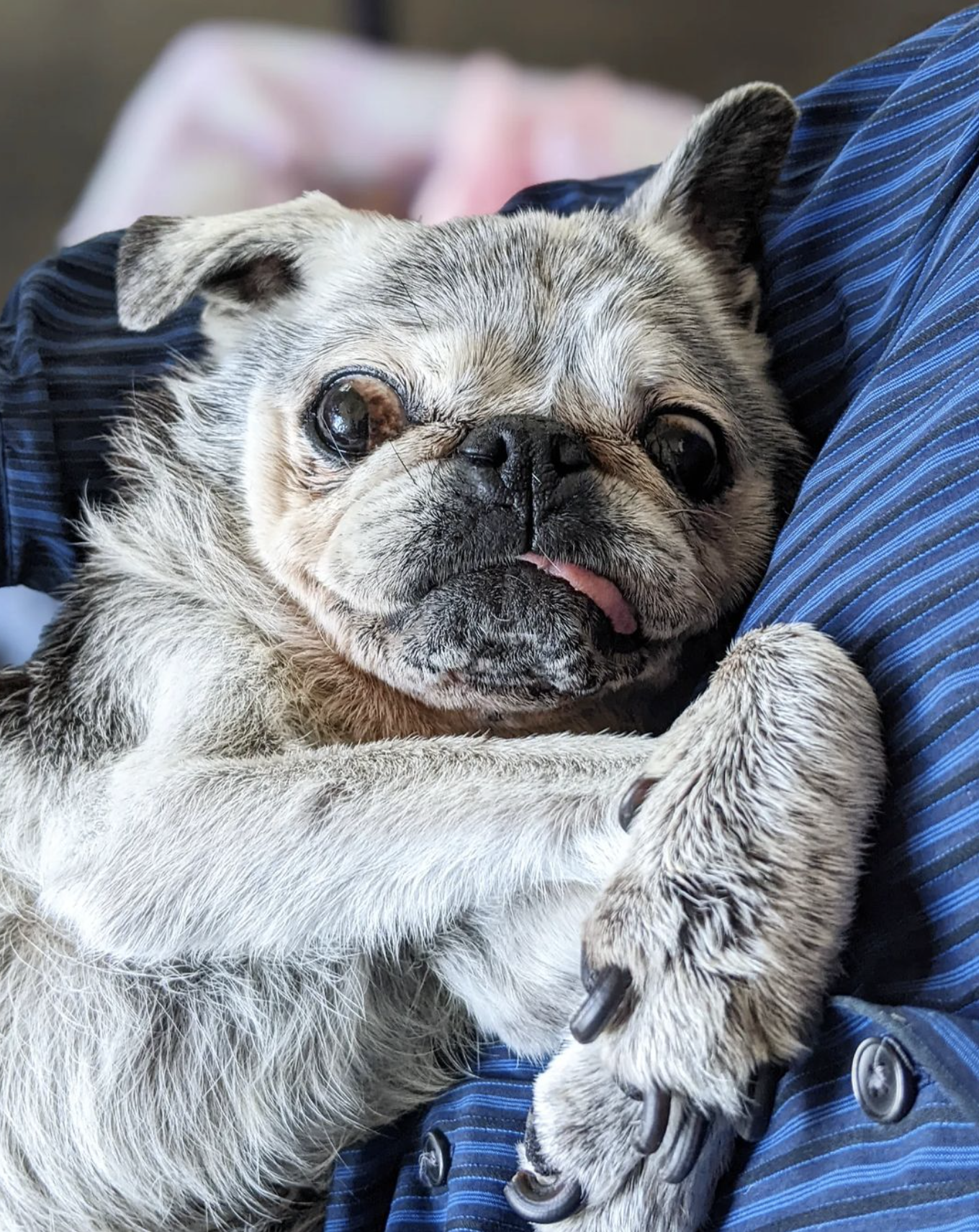 April 23, 2023: Suji Sunday!