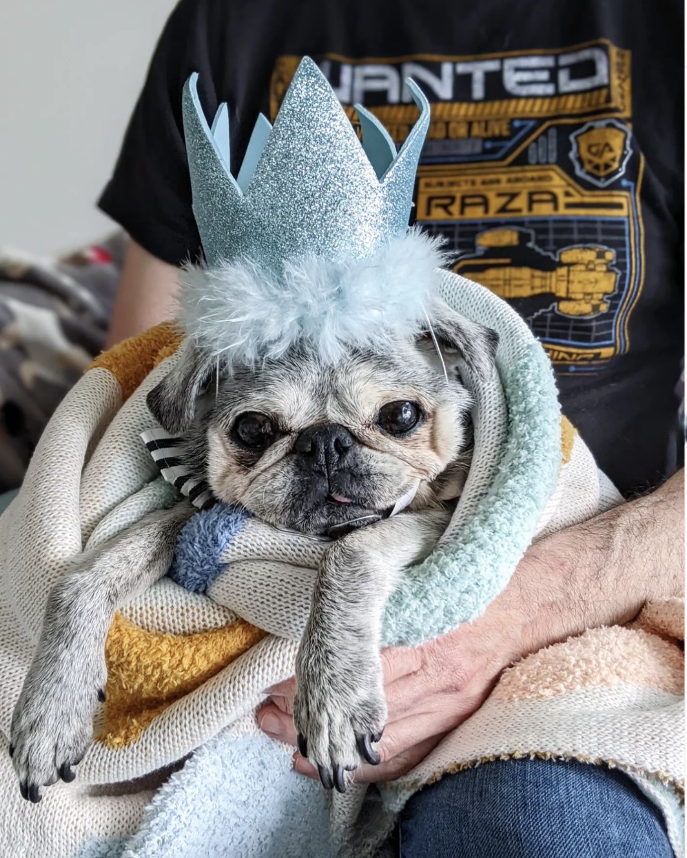 April 30, 2023: Suji Sunday!