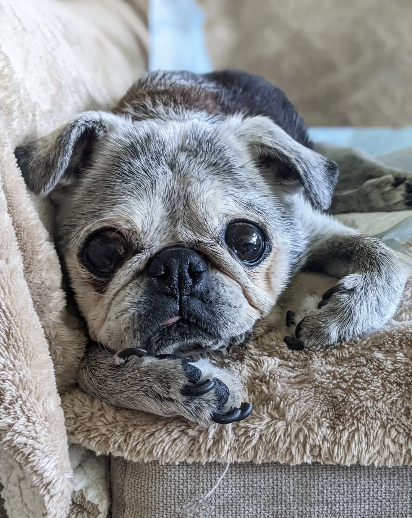 May 28, 2023: Suji Sunday!