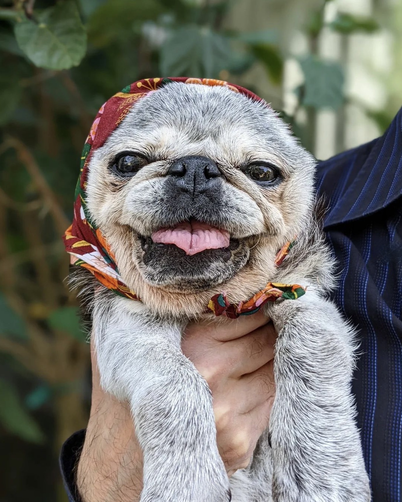 June 4, 2023: Suji Sunday!