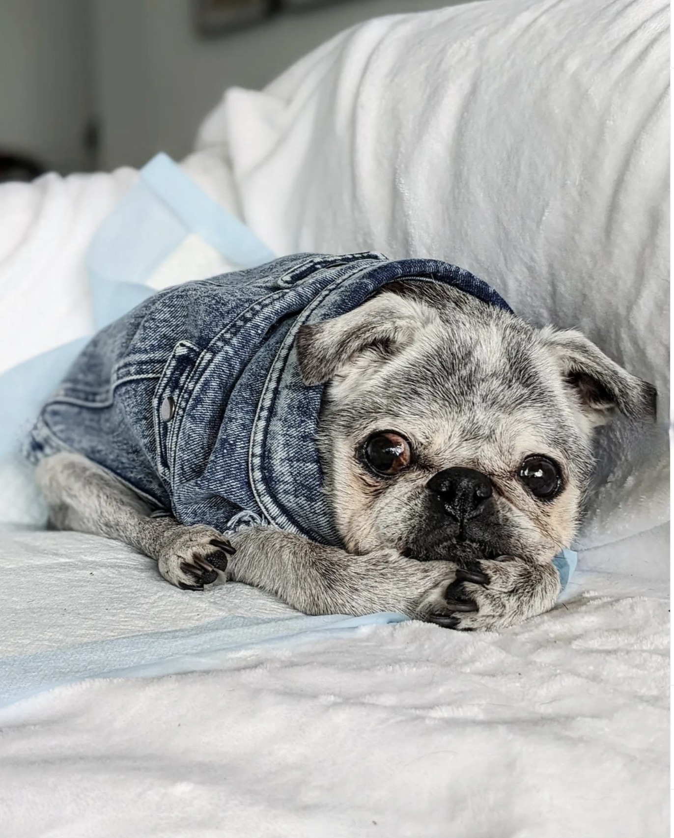 June 25, 2023: Suji Sunday!