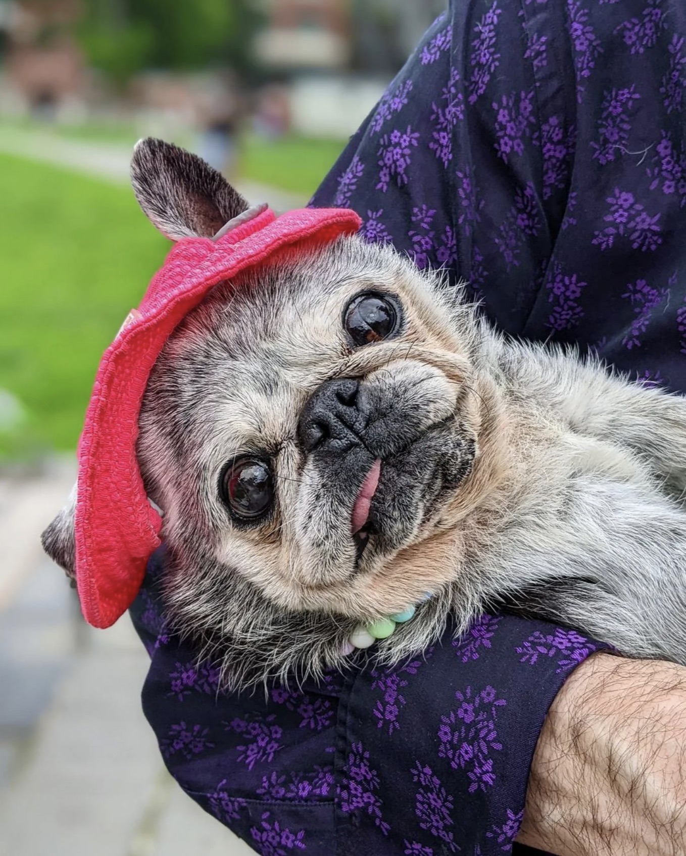 July 9, 2023: Suji Sunday!