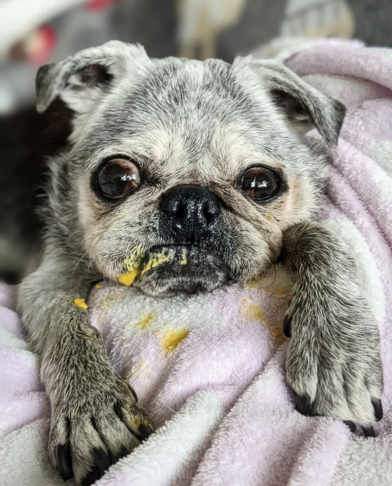 July 16, 2023: Suji Sunday!
