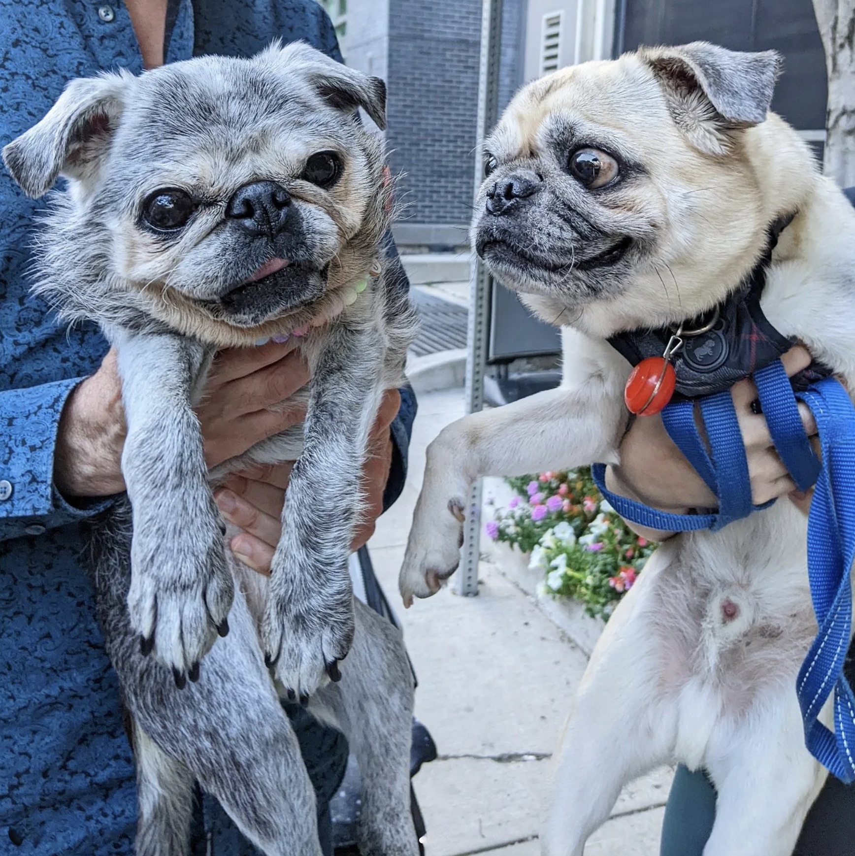 August 13, 2023: Suji Sunday!