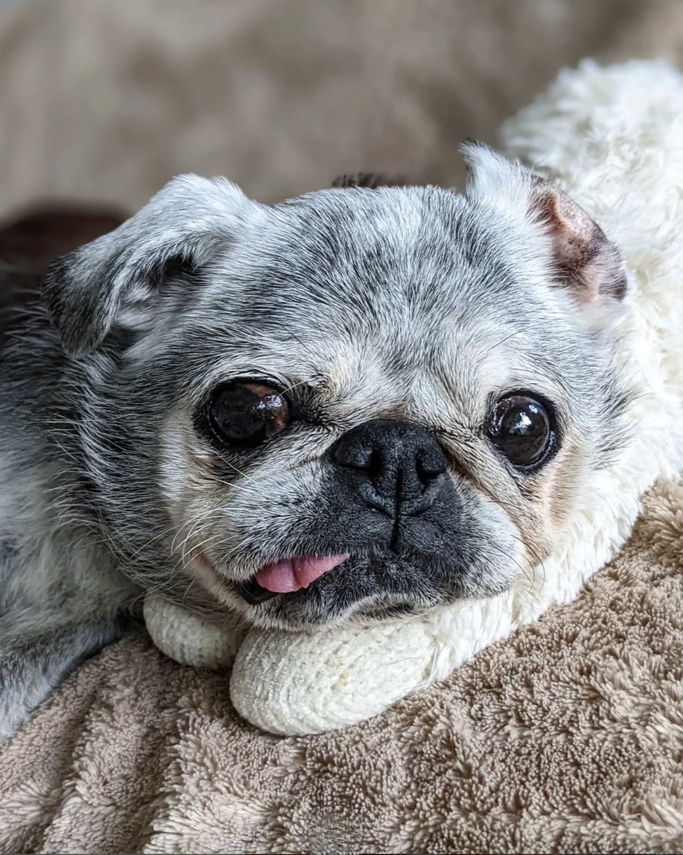 August 27, 2023: Suji Sunday!