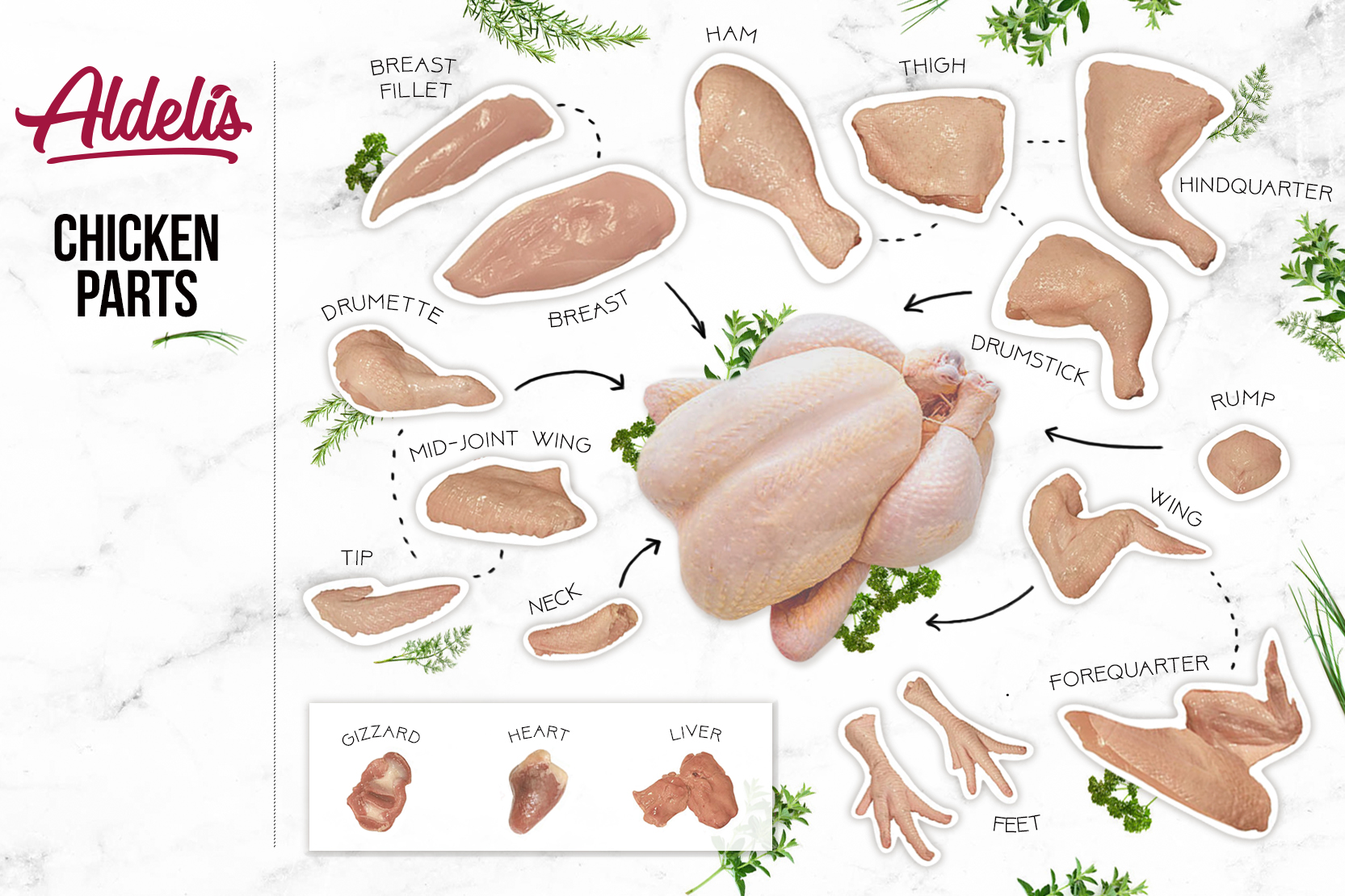 October 27, 2023: Tastiest parts of the chicken ranked!