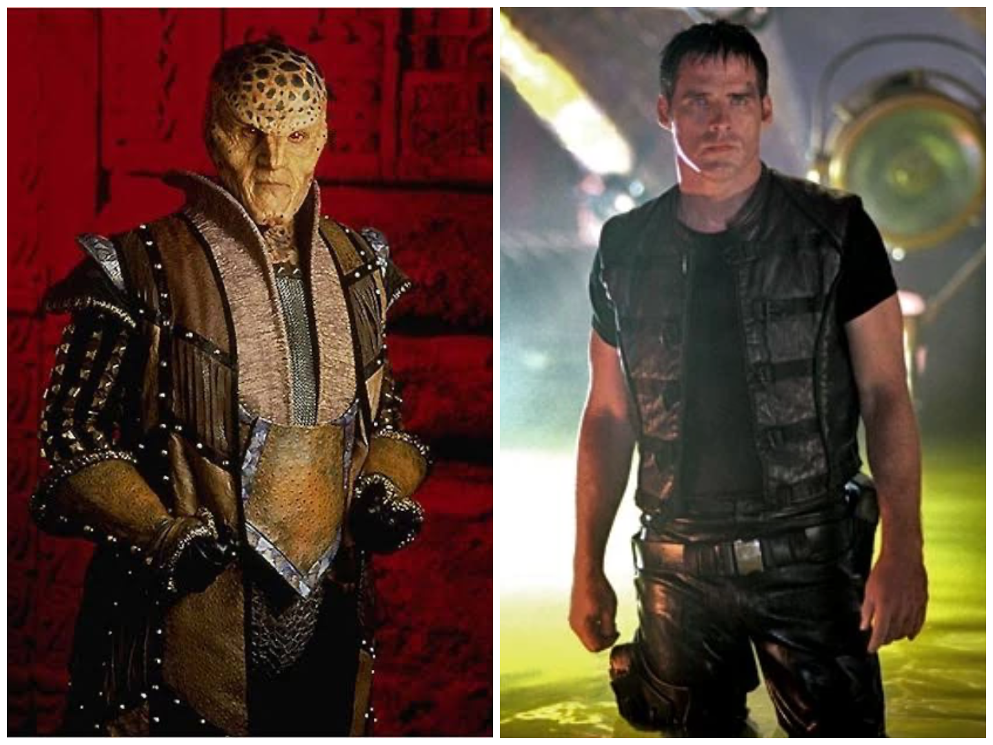 September 3, 2026: The search for our ship’s 2nd Wildcard concludes – The Championship!  And the writing continues!